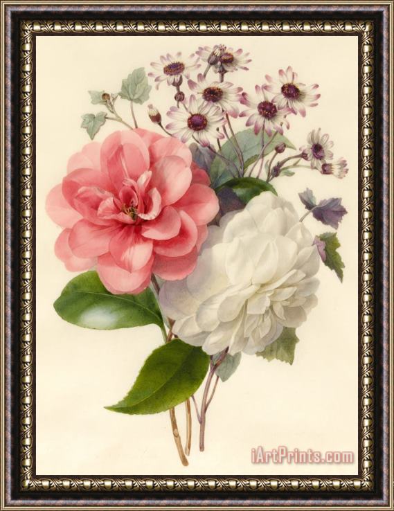 Marie-Anne Spray Of Three Flowers Framed Print