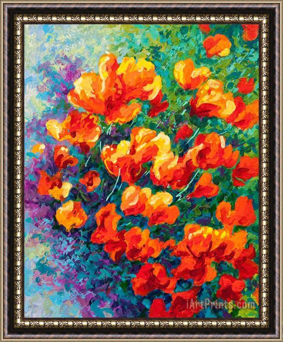 Marion Rose California Poppies Framed Print