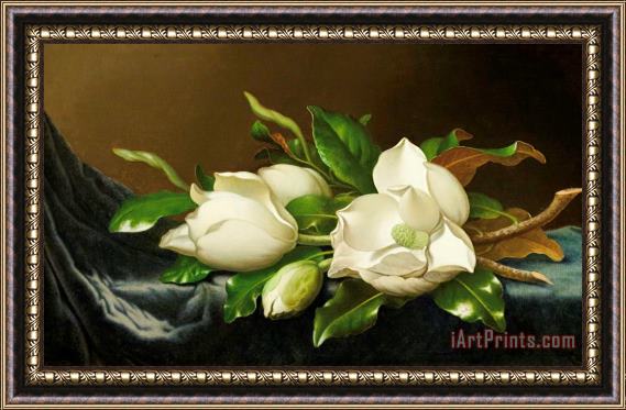 Martin Johnson Heade Magnolias on Blue Velvet Couch Framed Painting