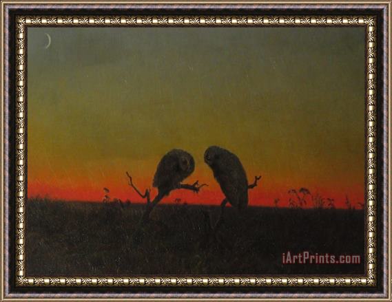 Martin Johnson Heade Two Owls at Sunset Framed Painting
