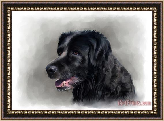 Michael Greenaway Dog Portrait Framed Painting