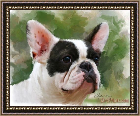Michael Greenaway Pet Bulldog Portrait Framed Print