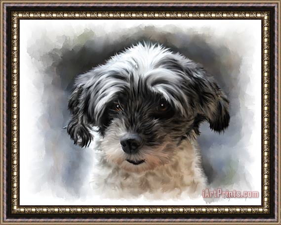 Michael Greenaway Pet Dog Portrait Framed Print