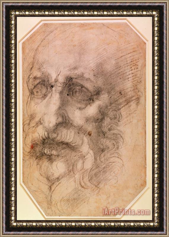 Michelangelo Buonarroti Portrait of a Bearded Man Framed Painting