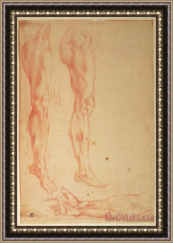Michelangelo Buonarroti Studies of Legs And Arms Red Chalk on Paper Framed Painting