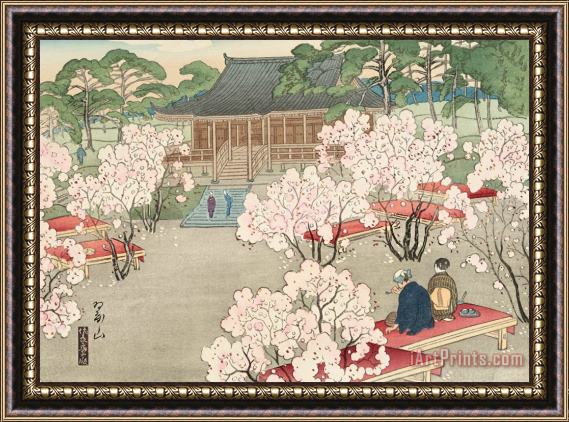 Miki Suizan Cherry Blossoms at Omuro Framed Print