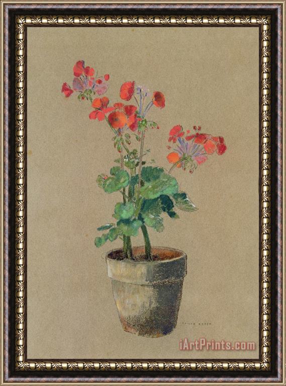 Odilon Redon Geraniums In A Pot Framed Painting