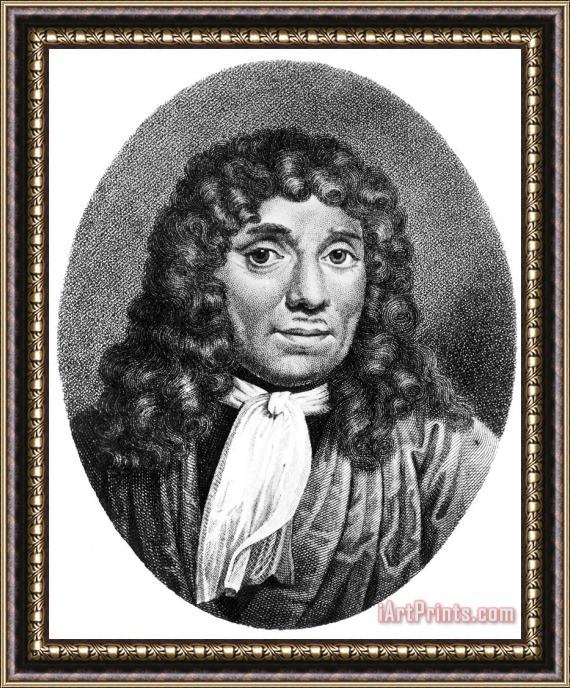Others Anton Van Leeuwenhoek Framed Print