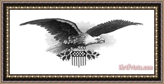 Others Bald Eagle Framed Painting