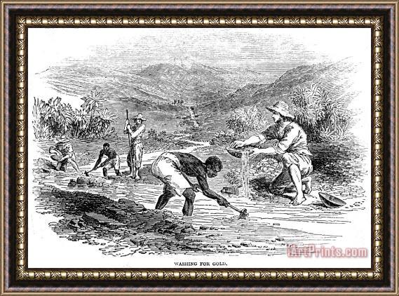 Others California Gold Rush, 1849 Framed Painting