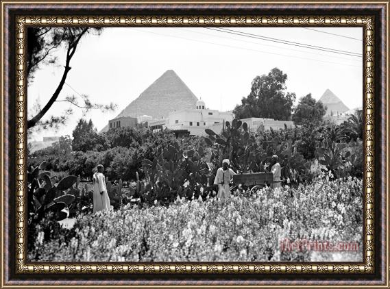 Others Egypt: Cairo Framed Print