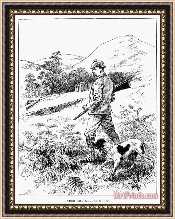 Others England: Grouse Hunting Framed Print