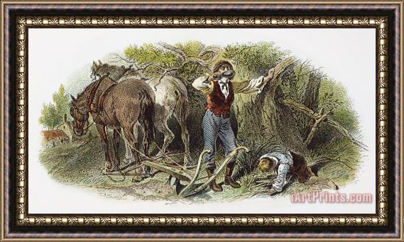 Others FARMING, 19th CENTURY Framed Print