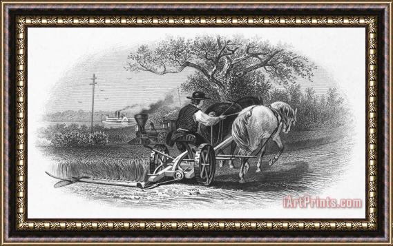 Others FARMING, c1870 Framed Painting