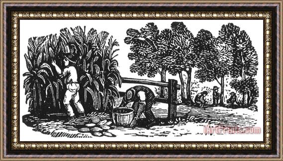Others Farming: Harvest Framed Painting