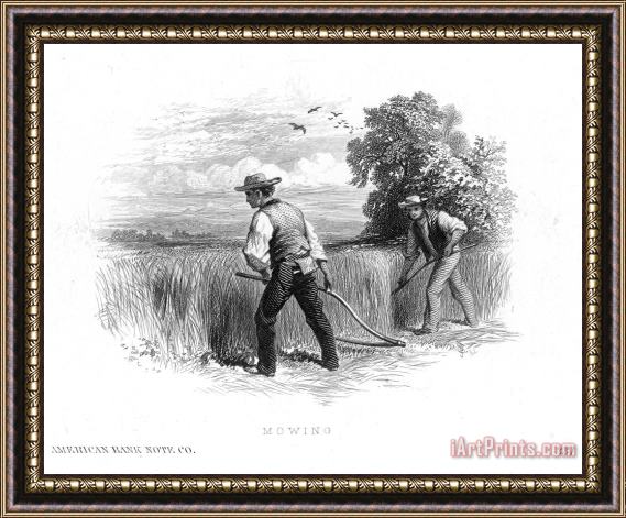 Others Farming: Harvesting Framed Painting