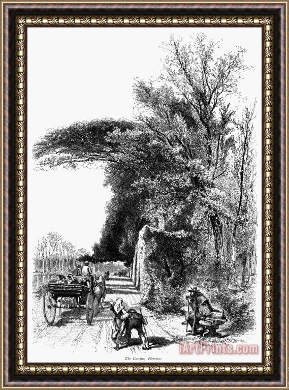 Others ITALY: FLORENCE, c1875 Framed Print