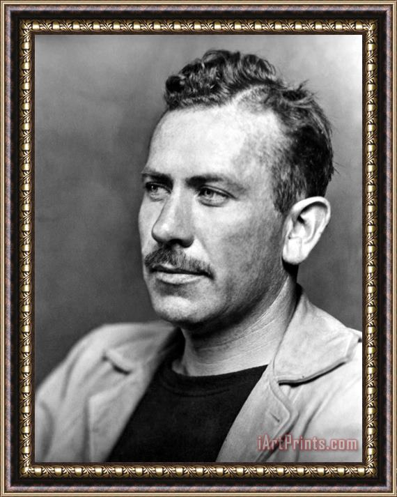 Others John Steinbeck (1902-1968) Framed Print