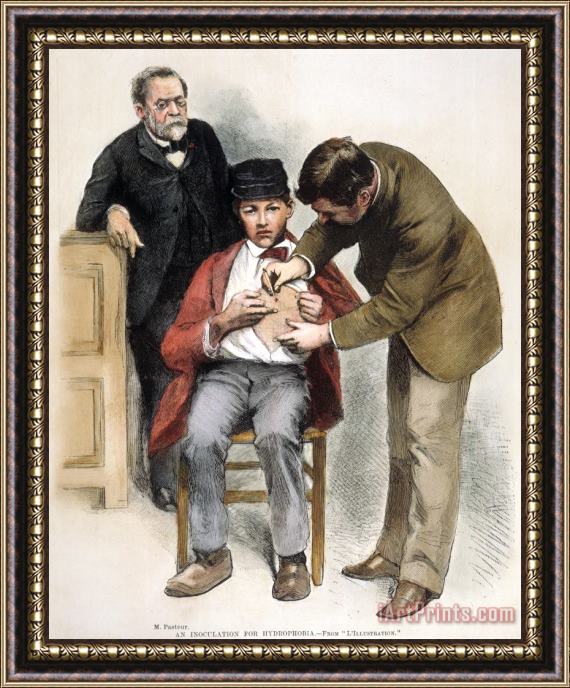 Others Louis Pasteur (1822-1895) Framed Painting