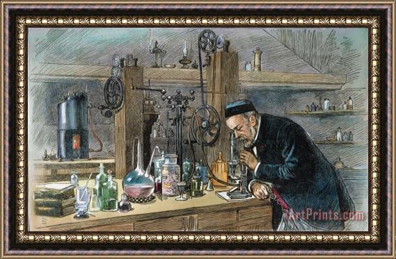 Others Louis Pasteur (1822-1895) Framed Print