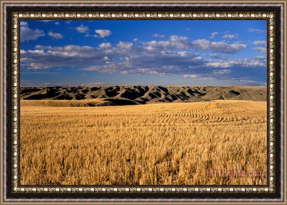 Others Montana Field And Hills Framed Painting