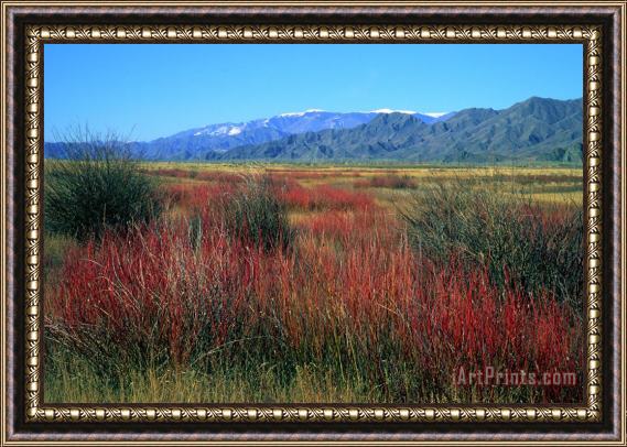Others Mountainous Landscape Framed Painting