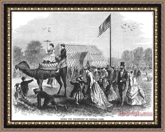 Others Nyc: Central Park, 1867 Framed Painting