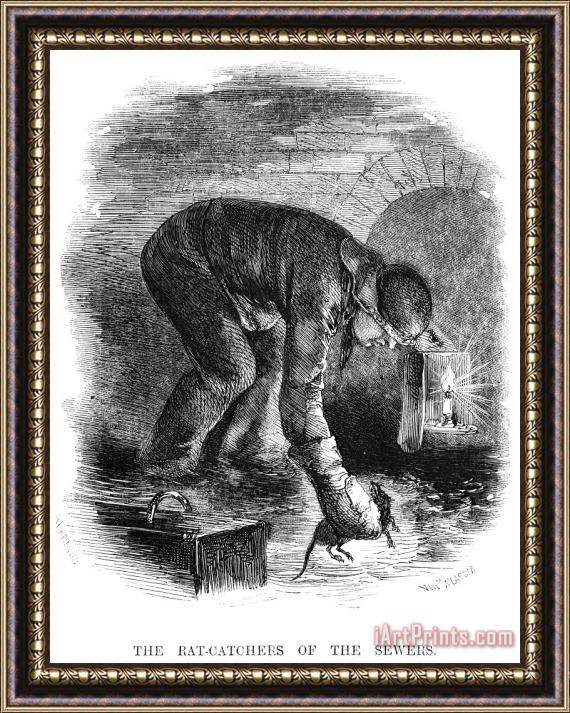 Others RAT CATCHER, 19th CENTURY Framed Painting