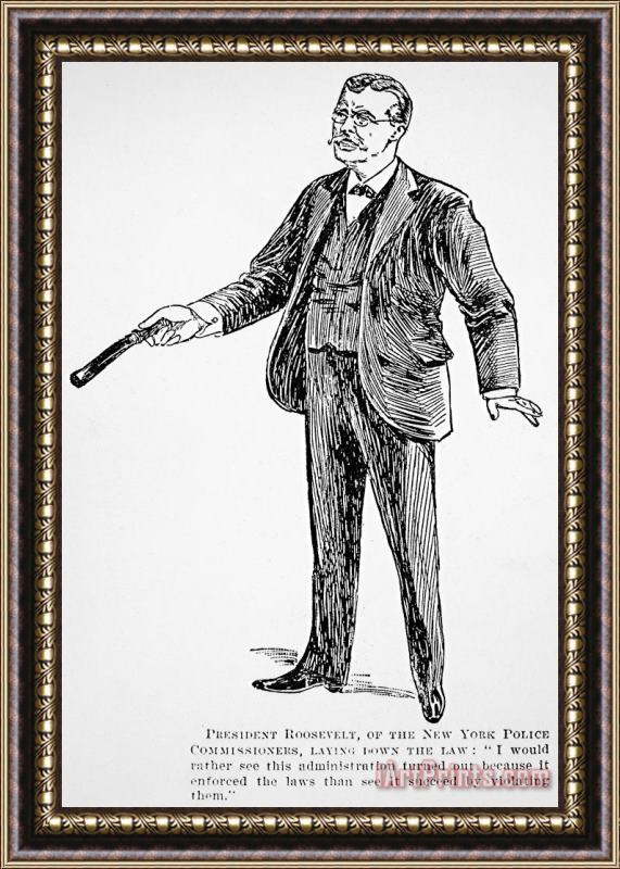 Others Roosevelt Cartoon, 1895 Framed Print