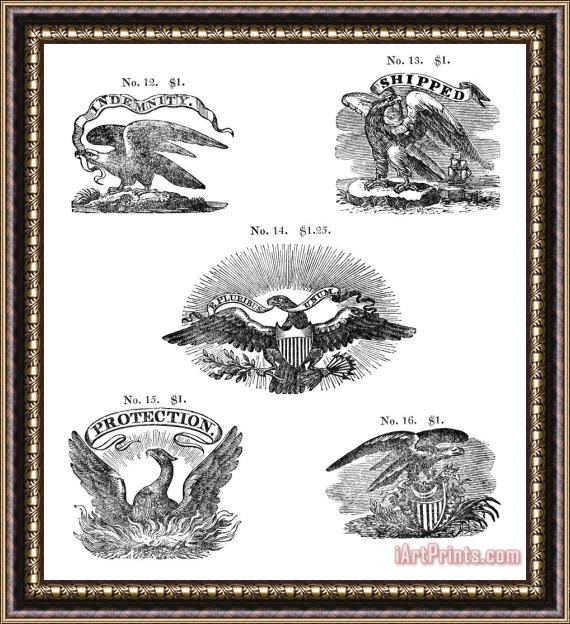 Others Symbols: Eagles Framed Print