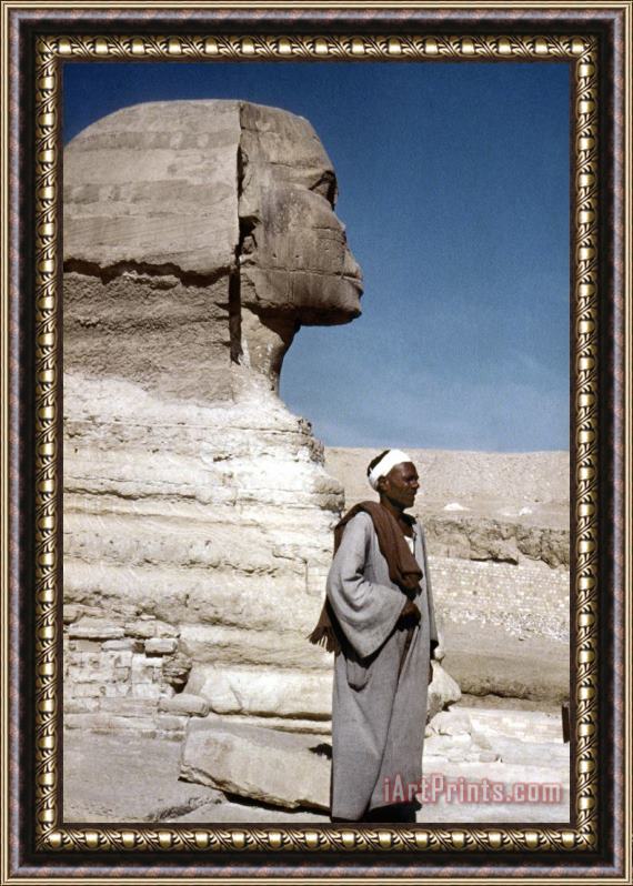 Others The Great Sphinx Framed Painting