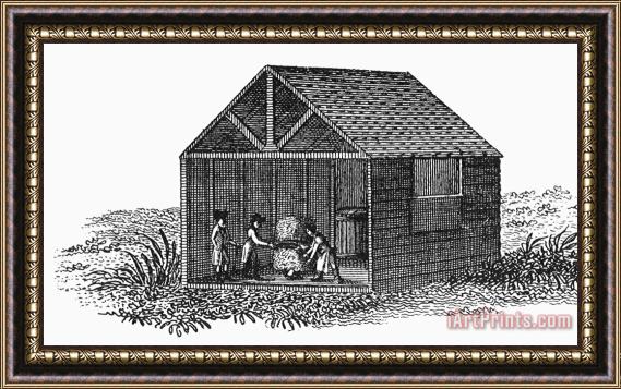 Others Virginia: Tobacco Culture Framed Print