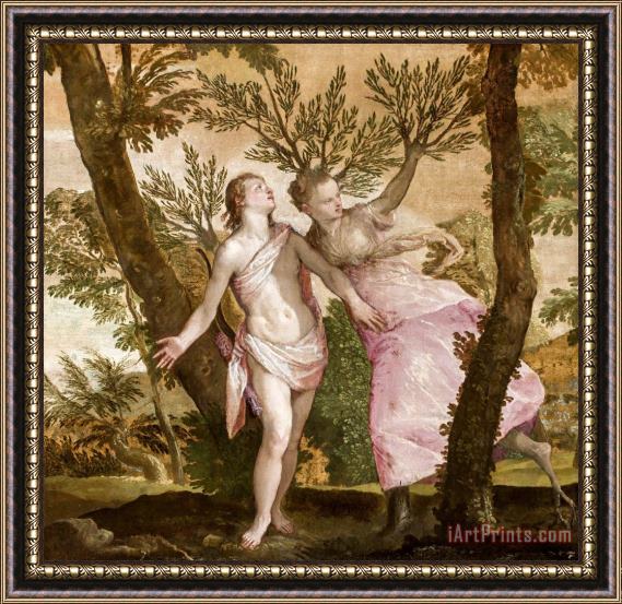 Paolo Caliari Veronese Apollo And Daphne Framed Painting
