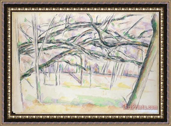 Paul Cezanne The Orchard C 1895 Framed Print