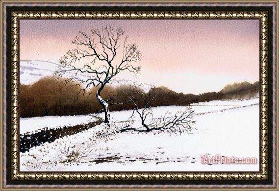 Paul Dene Marlor Fallen Tree Stainland Framed Painting