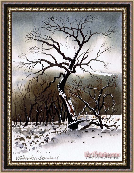 Paul Dene Marlor Winter Tree Stainland Framed Painting