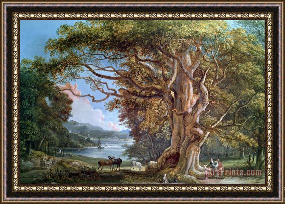 Paul Sandby An Ancient Beech Tree Framed Painting