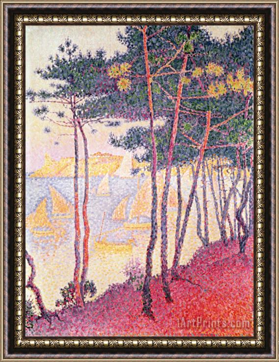 Paul Signac Sailing Boats and Pine Trees Framed Print