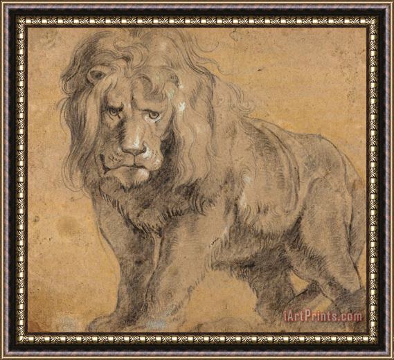 Peter Paul Rubens Lion Framed Painting