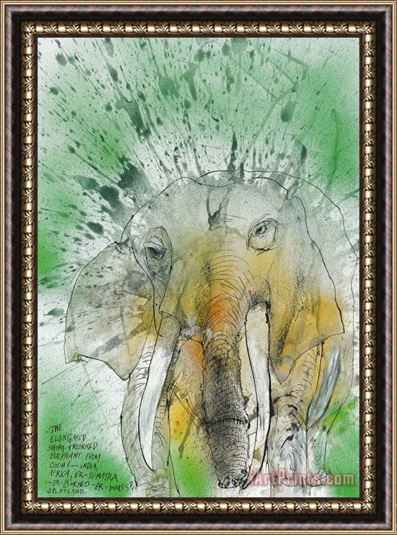 Ralph Steadman African Asian Elephant, 2017 Framed Print