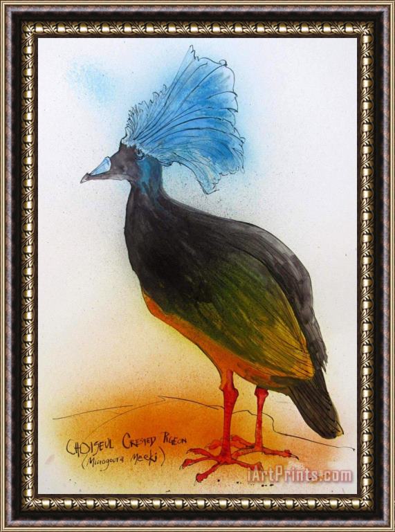 Ralph Steadman Choiseul Crested Pigeon, Ca. 2021 Framed Painting