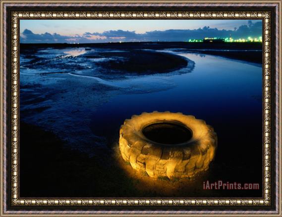 Raymond Gehman A Discarded Tire Glowing Like Neon in The Marsh Framed Painting