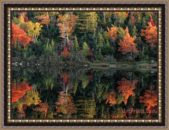 Raymond Gehman A Shore Lined with Trees in Autumn Hues Casting Reflections in Water Framed Painting