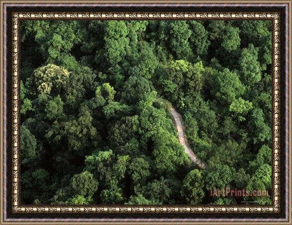 Raymond Gehman An Aerial View of a Road Passing Through a Thick Forest Framed Print