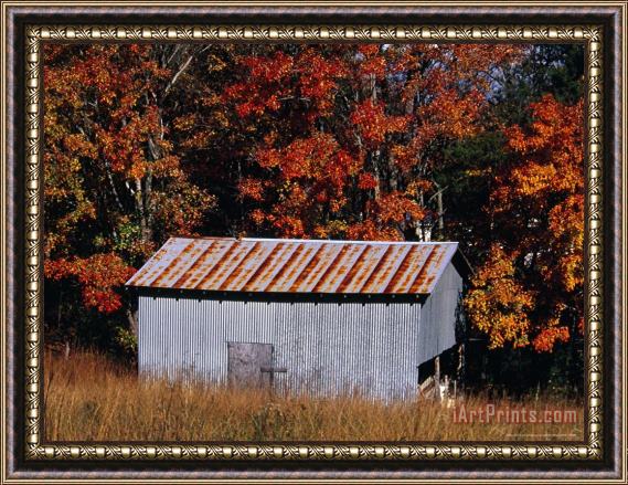 Raymond Gehman Autumn View of an Old Tin Barn at The Edge of The Woods Framed Painting