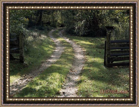 Raymond Gehman Driveway And Gate Through a Peaceful Woodland Setting Framed Painting