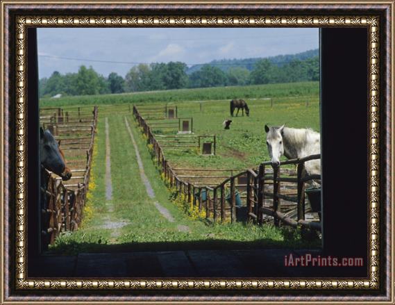 Raymond Gehman Farm Scene with Horses Grazing in Fenced Green Fields Near a Barn Framed Painting