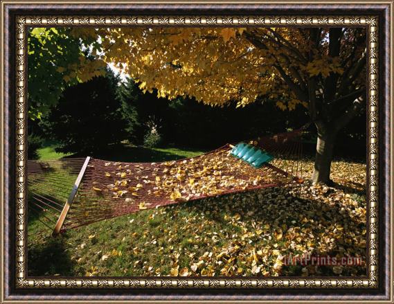 Raymond Gehman Maple Tree And Hammock in The Fall Framed Painting