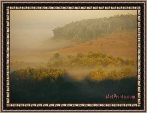 Raymond Gehman Morning Fog Rises From The Forest Framed Print