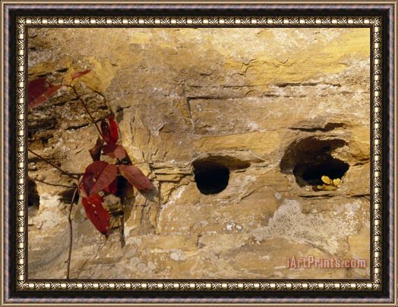 Raymond Gehman Nesting Holes Made in Sandstone by Cliff Swallows Framed Print